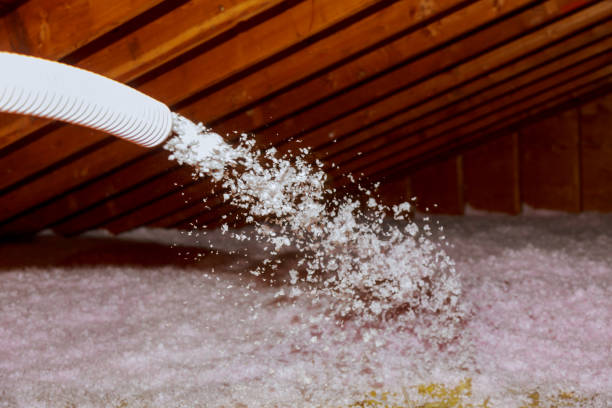 Best Commercial Insulation in Lumbine, CO