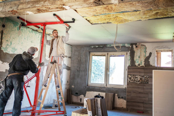 Best Insulation Installation Services in Lumbine, CO