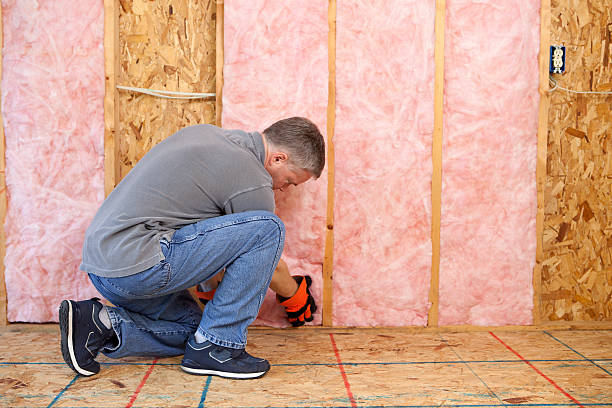 Best Specialty Insulation in Lumbine, CO
