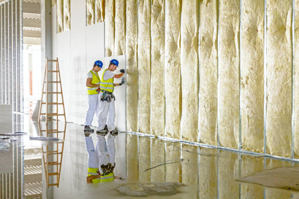 Best Energy Efficiency Solutions in Lumbine, CO